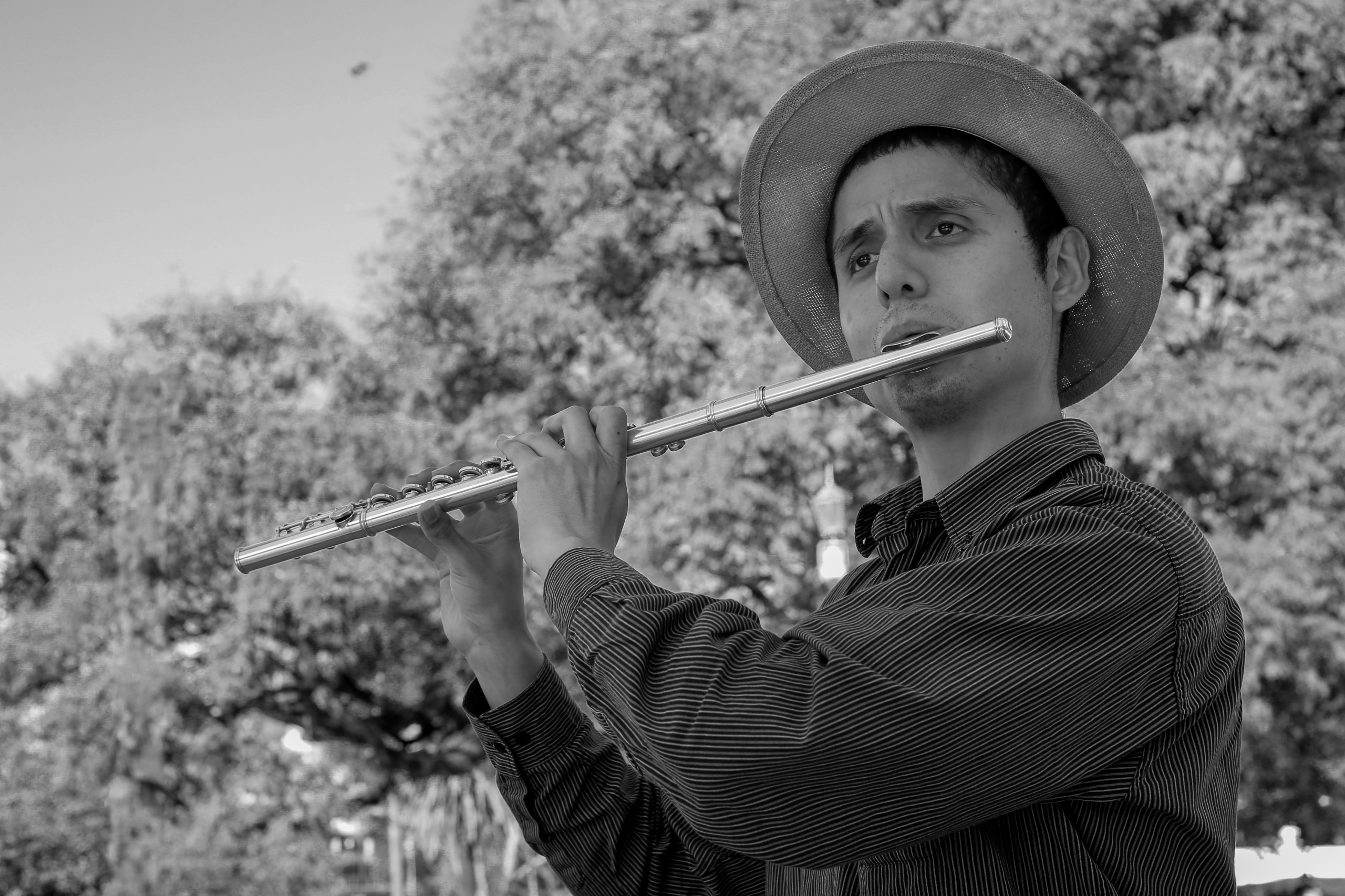 Nicolás Martínez — musicalidad para tango